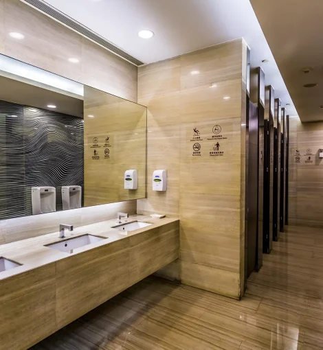 public-toilet copy